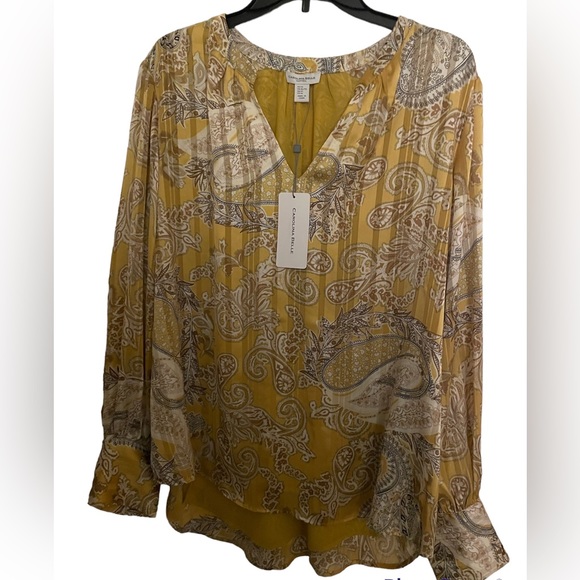 Carolina Belle Tops - Carolina Belle Gold V Neck Sheer Women’s Top| Size XL | High-Low Style| New